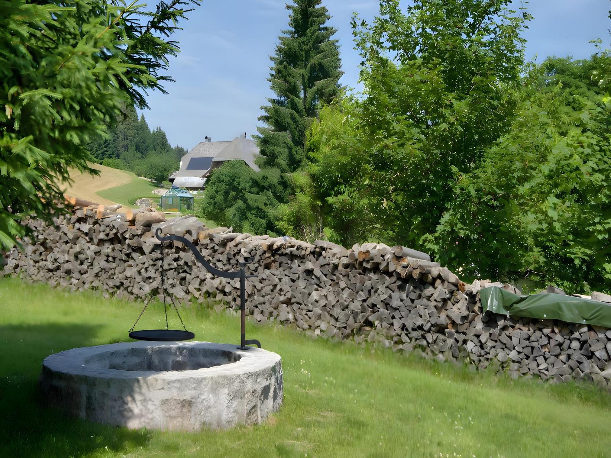 Gasthaus-Pension Zum Loewen Grafenhausen Dış mekan fotoğraf