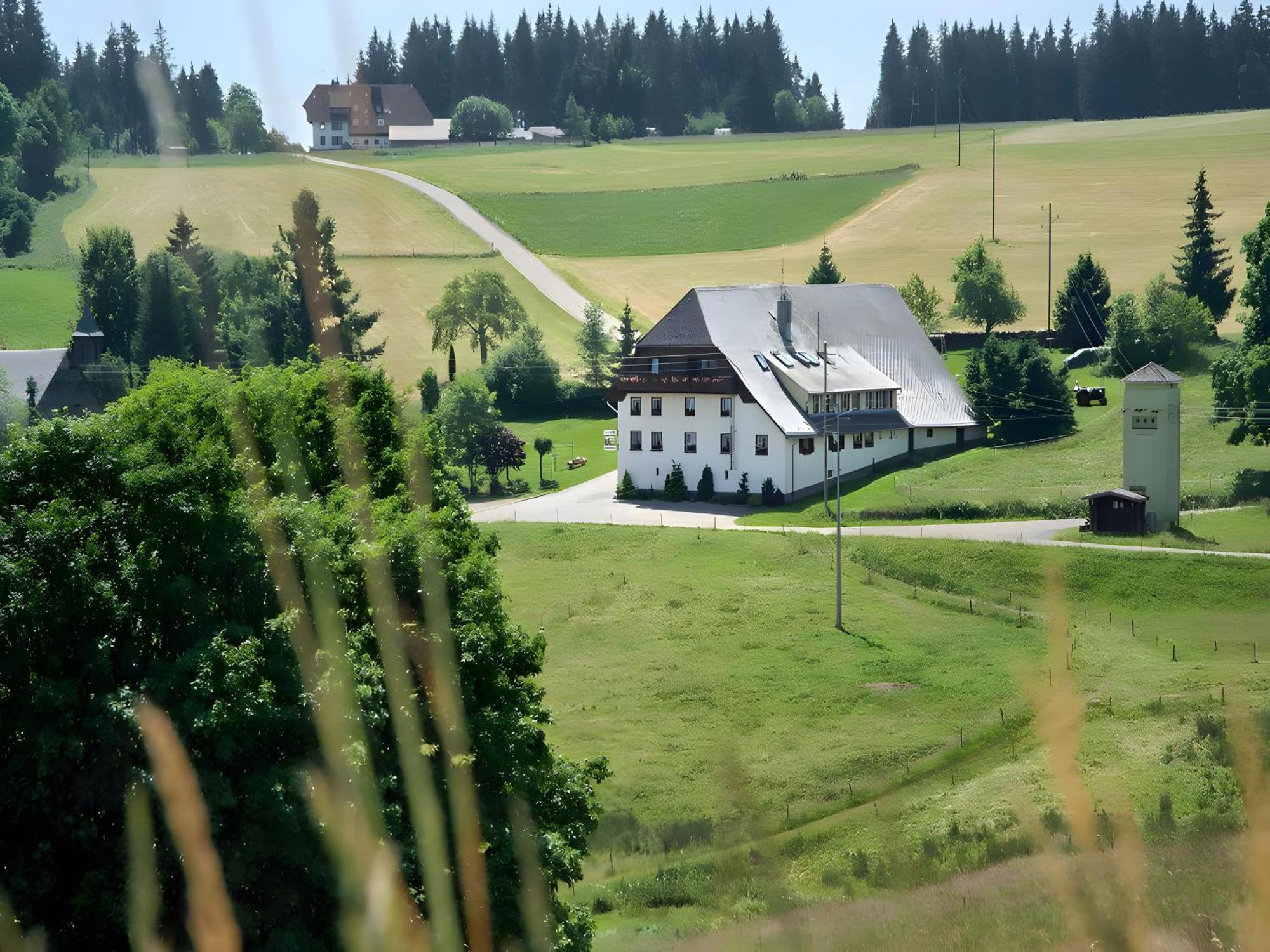 Gasthaus-Pension Zum Loewen Grafenhausen Dış mekan fotoğraf