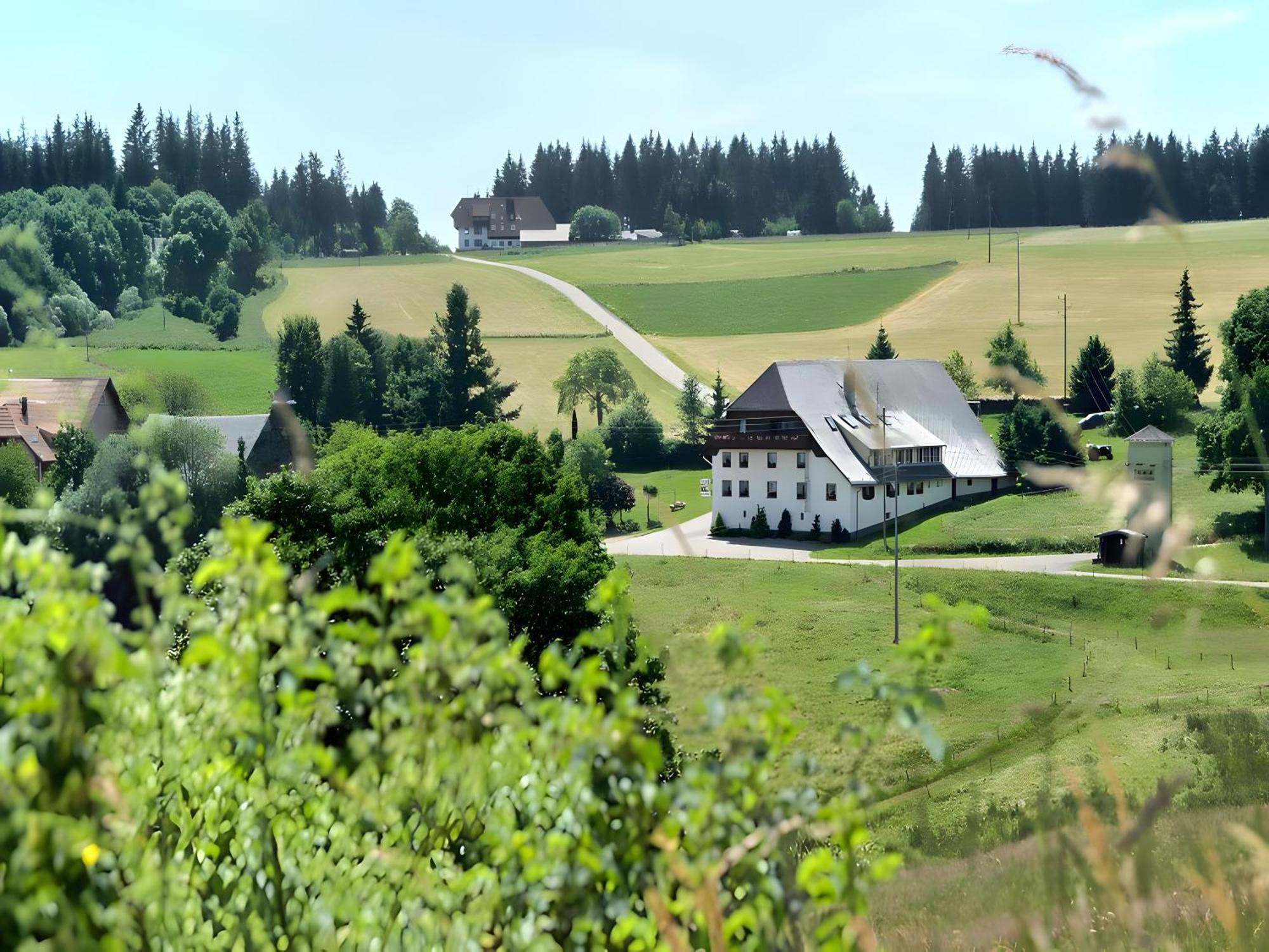Gasthaus-Pension Zum Loewen Grafenhausen Dış mekan fotoğraf