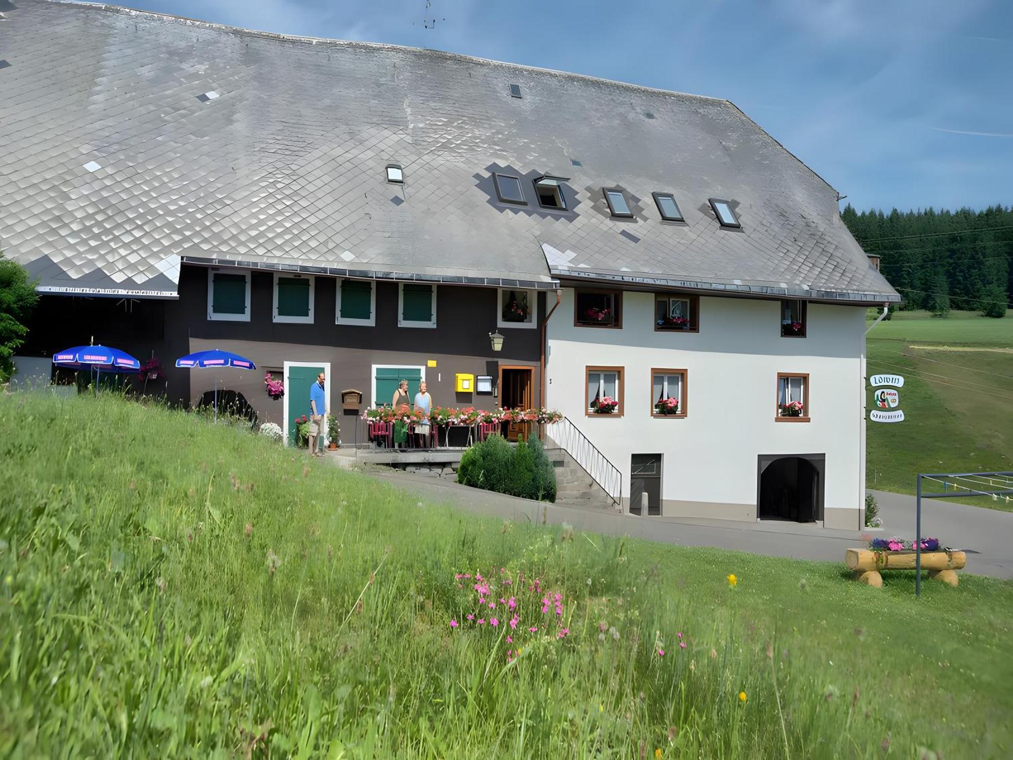 Gasthaus-Pension Zum Loewen Grafenhausen Dış mekan fotoğraf