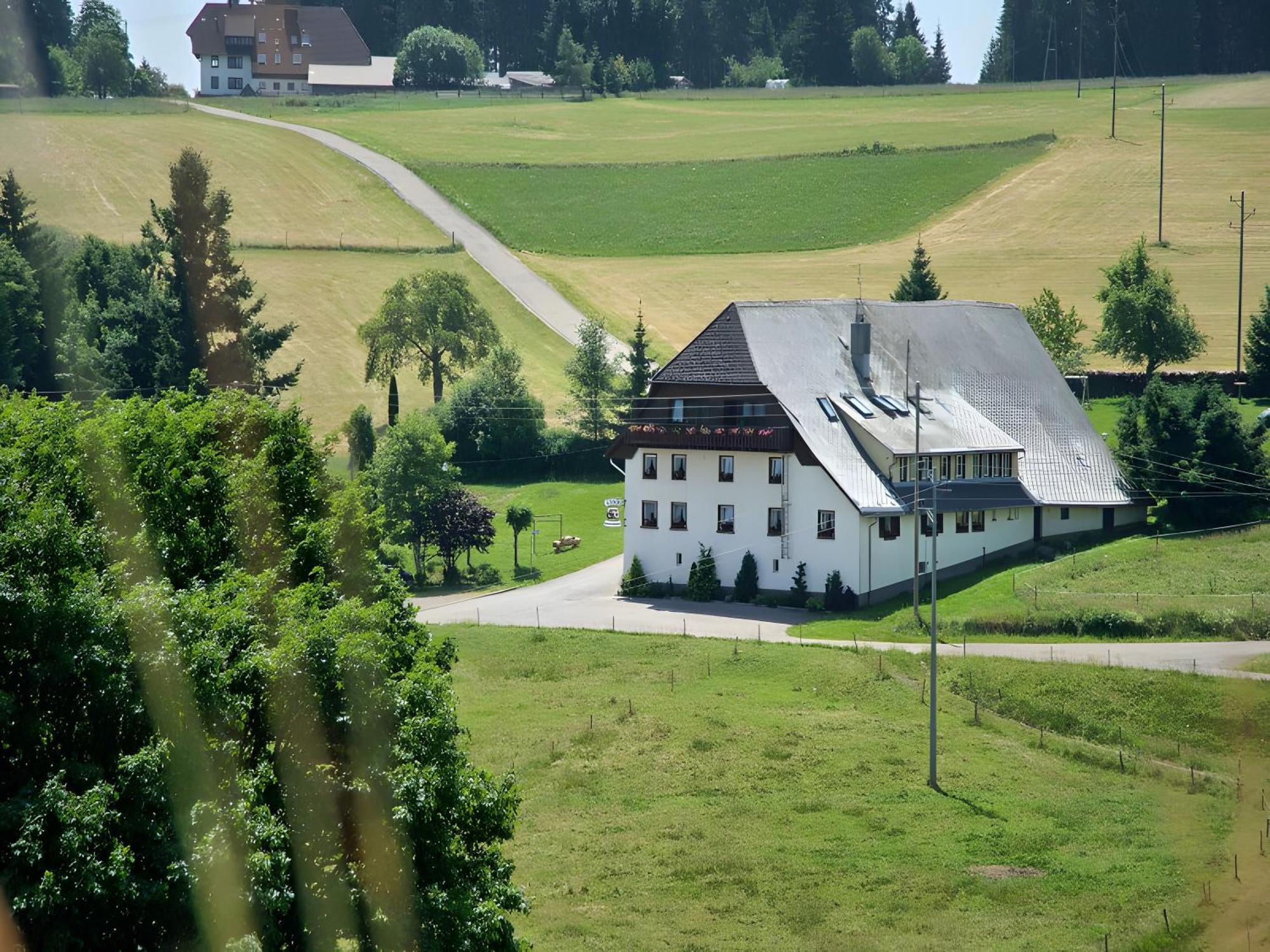 Gasthaus-Pension Zum Loewen Grafenhausen Dış mekan fotoğraf